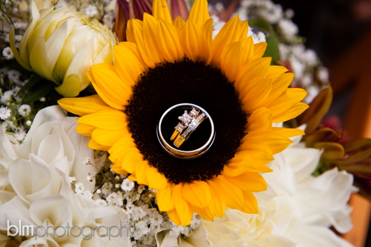 Michelle-Jim_Wedding_By-BLM-Photography-4