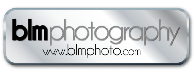 BLM Photography Metal Logo